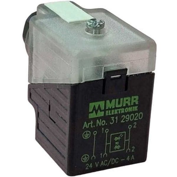 MURR <br/>
24V AC/DC 4A