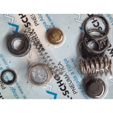 Kit de reparo WERK SCHOTT WE-4-000 para válvula da Série W Kit de reparo WERK SCHOTT WE-4-000 para válvula da Série W