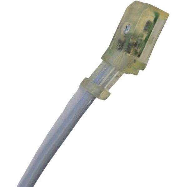 comprimento do cabo 5m, temperatura ambiente -10...50oC, com LED verde, material do cabo PVC