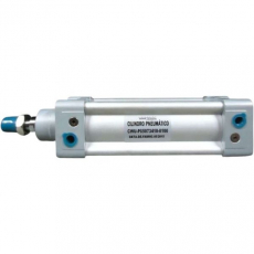 Cilindro pneumático WERK SCHOTT CWUP050734100100 50X100  Cilindro pneumático WERK SCHOTT CWUP050734100100 50X100