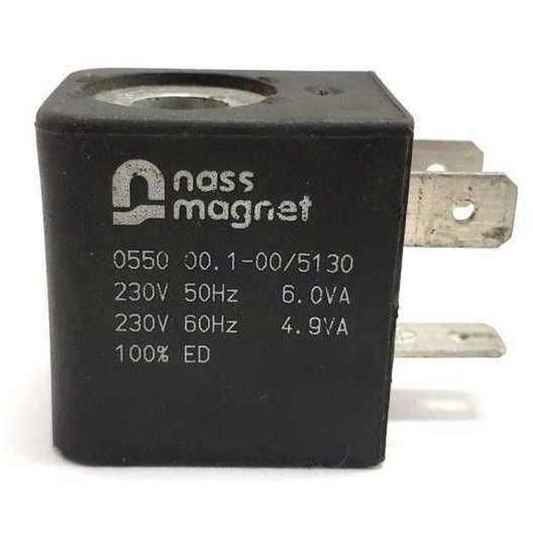 NASS MAGNET